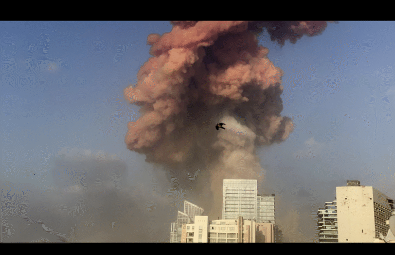 dylm stills 5 © pink smoke 2020 by ben hubbard