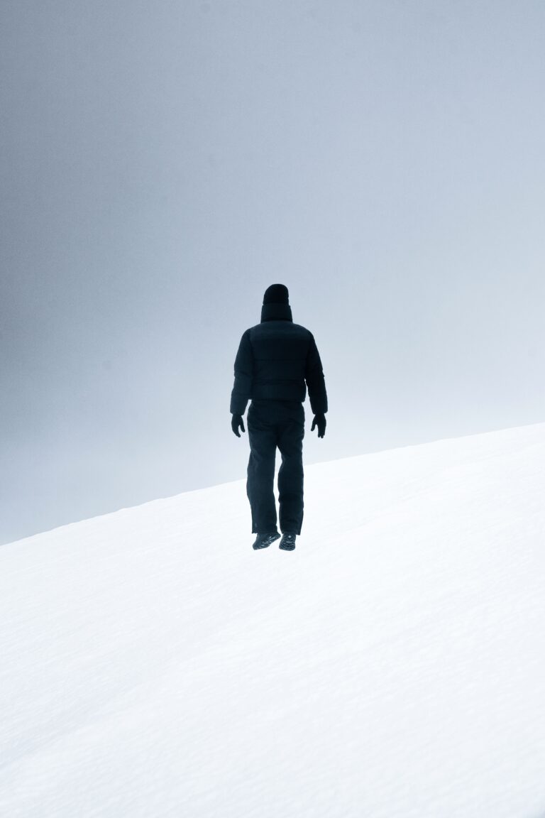 into the white antarctica 2025©
