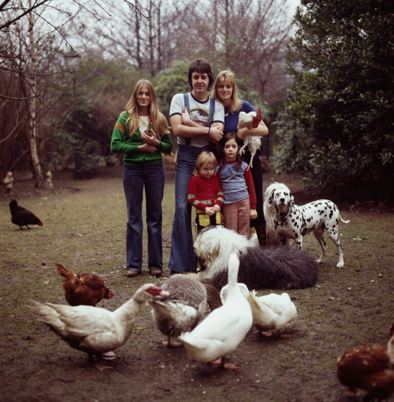paul mc poules